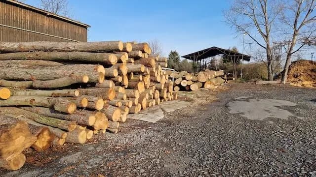 Ukázkové foto